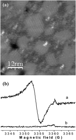 (a) STM image (60 × 60 nm) of TTM dispersed on Au(111). Tip sample bias 0.3 V and tunnelling current 15 pA. (b) a. EPR spectrum of the dip and rinse TTM sample; b. EPR spectrum of the gold/mica substrate. Experimental parameters: MW frequency 9.40388 GHz, power 20 mW, mod. amp. 1 G, field modulation frequency 100 kHz. g-value 2.00343. EPR cavity: standard TE102. Panel (a): reprinted with permission from ref. 32. Copyright 2009 The Royal Society of Chemistry. Panel (b): reprinted from ref. 222, Copyright 2009, with permission from Elsevier Masson SAS.