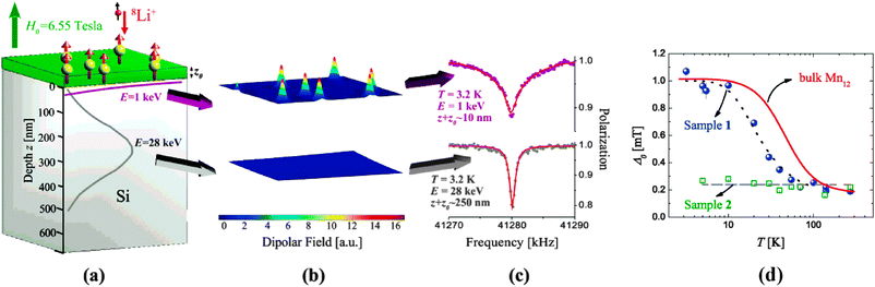 (a) A schematic of a sample of Mn12 molecules grafted on a Si substrate. The stopping profiles of 8Li in Si at E = 1 and 28 keV are also shown (purple and gray lines, respectively). (b) The simulated dipolar fields from the Mn12 monolayer calculated near the surface (top) and deep within (bottom) the Si substrate (arbitrary units). (c) The measured β-NMR spectra of the Mn12 monolayer in an applied magnetic field H0 = 6.55 T at T = 3.2 K. The top spectrum is for E = 1 keV and the bottom for E = 28 keV. The solid lines are fits to the calculated resonance line shape, and extract Δ0 as the width of dipolar field distribution, which is proportional to the magnetic moment of Mn12 molecules. (d) The measured broadening Δ0 in a sample of Mn12 molecules grafted on a Si substrate (sample 1, circles) and a clean Si substrate (sample 2, squares) as a function of temperature at E = 1 keV. The solid line is the measured magnetic moment in bulk and the dotted line is a guide to the eye. The dashed line represents the average Δ0 measured in the control sample 2. Reprinted with permission from ref. 228. Copyright 2007 American Chemical Society.