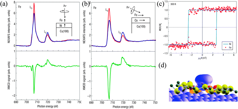 (a), (b) Element-specific magnetic properties of the Fe OEP molecule on ferromagnetic substrates determined by XMCD. X-Ray absorption coefficients for right and left circularly polarized X-rays μ + (E) (red) and μ − (E) (blue) (top) and XMCD (bottom) of the central Fe atom of the OEP molecule on Ni (a) and Co (b) substrates (300 K, 10 mT). The insets depict the orientation of the sample to the incident X-rays. The arrows for Fe and the ferromagnetic films show the alignments of the spins. (c) The element-specific field dependence of the magnetization of the Fe atoms in the molecule and the ferromagnetic substrate (Ni). Hysteresis curves of the Fe atom (filled squares) and Ni (full line) obtained by the L3 edge XMCD maxima of Fe OEP on Ni/Cu(100) at 300 K. (d) Scheme of the Fe OEP molecule placed on the Ni surface. Reprinted by permission from Macmillan Publishers Ltd: Nature Materials ref. 36, Copyright 2007.