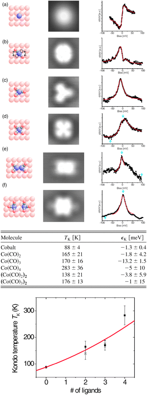 (Top) Models, STM topographies, and STS spectra in the center of the Co adatoms and complexes under investigation: (a) cobalt adatom, (b) Co(CO)2 (constantly flipping; from the spectrum a linear background has been removed), (c) Co(CO)3, (d) Co(CO)4, (e) (Co(CO)2)2, (f) (Co(CO)3)2. Models and topographies in (a)–(f) drawn to the same scale. The solid lines in the spectra are fits of a Fano function, with the parameters determined in the table (middle), where TK is the Kondo temperature and is proportional to the width of the resonances. (bottom) The scaling behavior of a cobalt impurity with nCO molecules attached to it. Data for dicobalt carbonyls are shown as crosses, the number of ligands refers to the number of CO molecules per cobalt atom. Reprinted with permission from ref. 272. Copyright 2005 the American Physical Society.