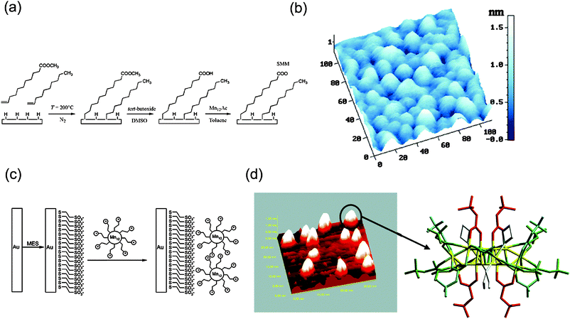 (a) Three-step procedure for anchoring of Mn12 on Si(100) pre-functionalized with carboxylic acids with control on density of SMM grafted by tuning the presence of the carboxylate receptors on the surface using unreactive spacers and (b) 3D AFM image of the SAM after the anchoring of Mn12. (c) Schematic procedure to immobilize via electrostatic interactions a polycationic Mn12 molecule on a Au surface previously modified with anionic self-assembled monolayers and (d) STM analysis of the SMMs once grafted on the surface. Reprinted with permission from ref. 74 and 75 (panels (a, b) and (c, d), respectively). Copyright 2006 Wiley-VCH Verlag GmbH & Co. KGaA and 2005 American Chemical Society.