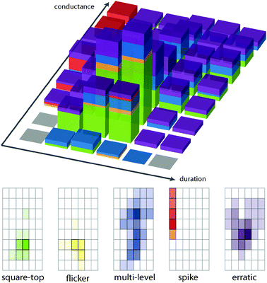 (Top) Bar chart representation of the cumulative activity grids of compounds surveyed. (Bottom) Activity grids in which colour intensity reflects the proportion of activities that occur with a given conductance/duration, separated by type of activity. Each type is normalized to assign the maximum intensity to the most frequent occurrence within that class; see text.
