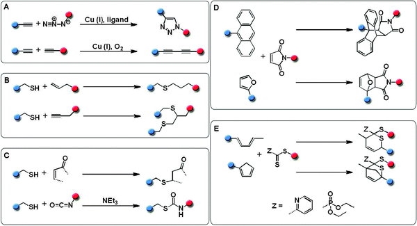 Schematic representation of the “click” reactions exploited for the preparation of macromolecular architectures.