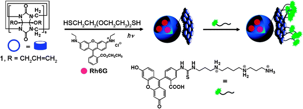 Entrapment of dye molecules during the synthesis of polymer nanocapsules exploiting the TE photoaddition and noncovalent surface modification of the nanocapsules using a FITC-tagged polyamine [adopted from ref. 198].