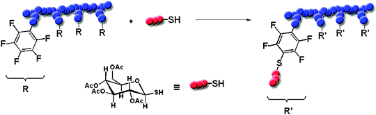 Schematic representation of the thio-para fluoro “click” reaction for the preparation of side-chain glycosylated poly(pentafluorostyrene).55