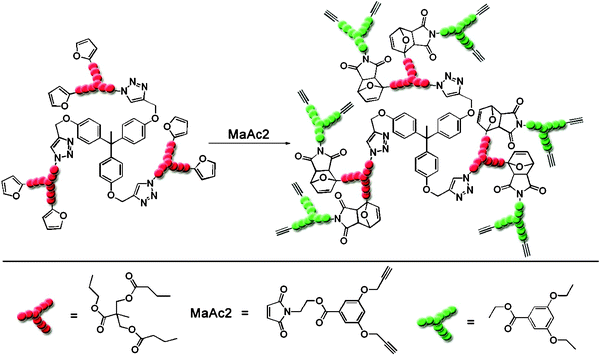 Synthesis of second generation dendrimers exploiting the DA reaction of furan and maleimide [adopted from ref. 143].