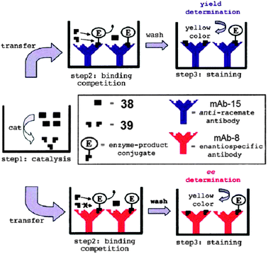Schematic diagram of the competitive enzyme immunoassays.92