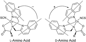 The twist of the propeller-like structure of derivatized l- or d-α-amino acid.