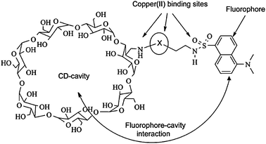 Binding interactions of modified cyclodextrin 65 and CuII(AA).135