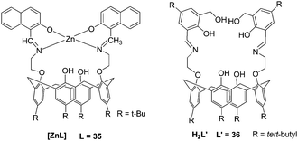 The structures of the complexes.