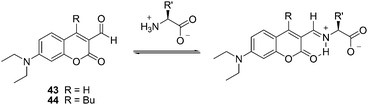 The reaction mechanism of 43, 44 with amino acids.