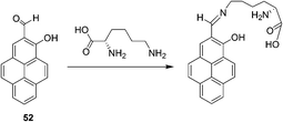 The reaction mechanism of 52 with lysine.