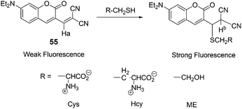 Probe 55 and its thiol conjugates.