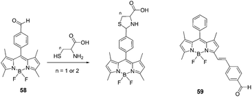 Structures of 58, 59 and the reaction of compound 58 with Hcy or Cys to form thiazinane (n = 2) or thiazolidine (n = 1).