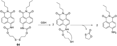 Reaction mechanism of 64 and GSH.