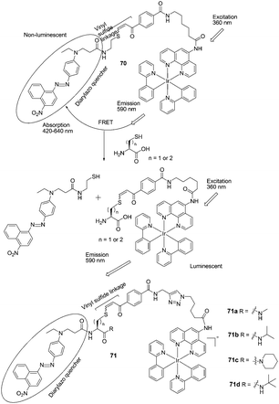 Structures of 70, 71a–71d and the mechanism for the reaction for 70 and Hcy/Cys.