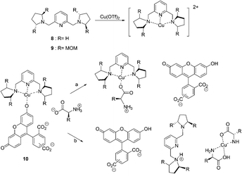 The structures of 8, 9 and two pathways for the displacement of indicator 10 from a Cu2+-containing receptor by an l-amino acid guest.