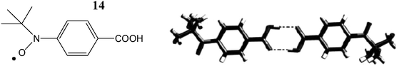 View of the hydrogen-bonded dimer formed by the radical 14. Reproduced from ref. 80 with permission from Wiley-VCH.