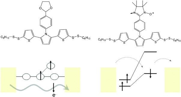 Top: molecular structures of the spinless wire molecule SLWM and the spin containing wire SPWM. Bottom: schematic drawing of spin-dependent tunneling through SPWM and of the electronic structure of SPWM at the junction of electrodes.