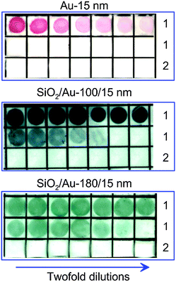 Gold nanoparticles in biomedical applications: recent
