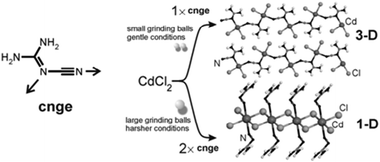 The ligand cnge with different metal binding sites indicated by arrows and its reactions with CdCl2 upon neat grinding under various reaction conditions.