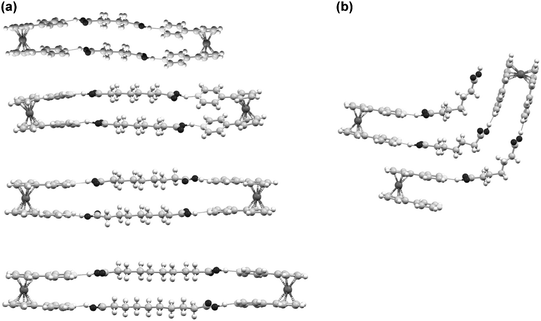 The supramolecular structures of the macrocycles {(Fcpy2)·(HOOC(CH2)nCOOH2)}2 (n=4, 6, 7, 8) (a), and the zig–zag chain found when n = 5(b).