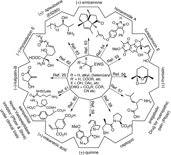 Applications of Baylis–Hillman (BH) adducts: synthesis of natural products and bio-active molecules.