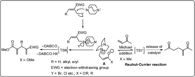 Parameters that influence the mechanism of the BH-reaction.