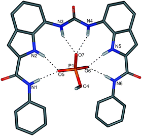 Crystal structure of [HPO4⊂104]2− with selected atom labels, hydrogen bonds as dotted line, tetrabutylammonium cation, co-crystallised water molecules and non-interacting hydrogen atoms omitted for clarity.