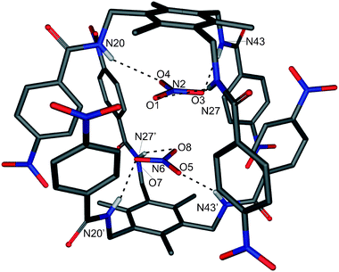 X-Ray structure of [(NO3)2⊂132]2− with selected atom labels and N–H⋯O hydrogen bonds as dotted lines, tetrabutylammonium cations and non-acidic hydrogen atoms are omitted for clarity.