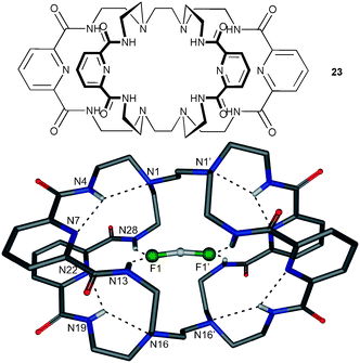 X-Ray structure of [(FHF)⊂23](n-Bu4N)·3H2O with selected atom labels and hydrogen bonds as dotted lines, tetrabutylammonium counter cations, co-crystallised H2O molecules and non-acidic hydrogen atoms are omitted for clarity.