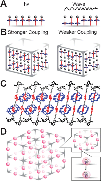Possible collective phenomena in ensembles of coupled AMMs and synergy with MOF scaffolds. (A) When switching of one molecule causes the neighboring molecules to switch, it can create a domino-like effect propagating as a reaction-front. Here, this situation is illustrated for the case of a monolayer of two-state AMMs.91 (B) When the switching of one unit hampers the switching of its neighbors, one can envision assemblies in which the states of nearby AMMs alternate, much like in an antiferromagnet. This type of behavior has been observed in an experimental solid-state superstructure of a donor–acceptor degenerate [2]rotaxane in (C), where the degenerate [2]rotaxane molecules—composed of a π-electron deficient cyclobis(paraquat-p-phenylene) ring and two π-electron rich 1,5-dioxynaphthalene units—line up in the solid-state92 to form parallel interdigitated donor–acceptor arrays. (D) A scheme of an envisioned24 composite structure combining the robustness of MOFs with the dynamics of MIMs e.g., bistable [2]catenanes. Using this approach, it might be possible to locate, within an extended structural domain built up, for example, from cubes containing rigid struts, AMSs/AMMs in the form of, say, bistable [2]catenanes located at their midpoints. The grey struts, which constitute the cubic framework, supply the robustness, while the pink spheres pin-point the location of the AMSs/AMMs and their moving parts.