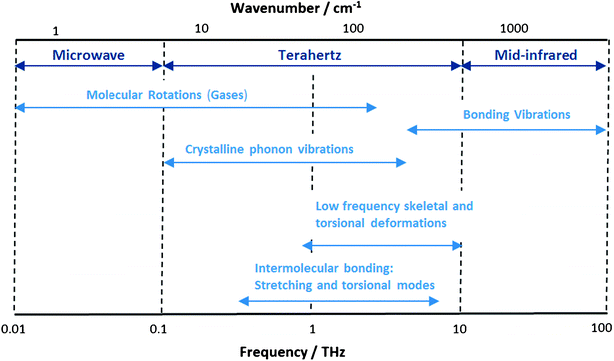Molecular modes and activity in the terahertz region of the electromagnetic spectrum.