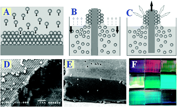Bio-inspired variable structural color materials - Chemical