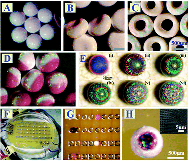 Bio-inspired variable structural color materials - Chemical Bio-inspired variable structural color materials - Chemical