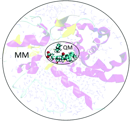 In a QM/MM calculation on an enzyme-catalysed reaction, the system is split into two regions: a small region encapsulating the reaction at the active site (shown here in ball and stick representation) is modelled with a QM method, while the rest of the enzyme (and surrounding solvent etc.) is modelled using MM. The enzyme illustrated is a (truncated) model of CYP101 (cytochrome P450cam) with cyclohexene bound.9