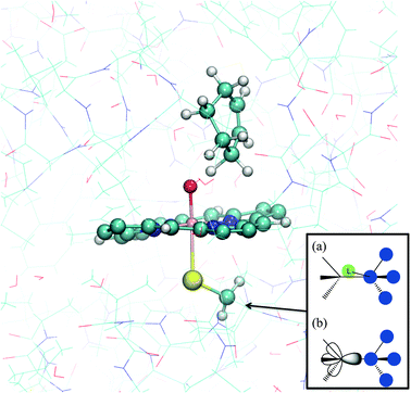 Typical QM/MM partitioning for modelling reactions of cytochrome P450 enzymes. The example shown here is cyclohexene in the active site of P450cam. The MM and QM atoms are shown in lines and ball and stick representation, respectively. Inset: (a) the link atom (L) and (b) frozen orbital methods for satisfying the valences of QM atoms at the QM/MM boundary.