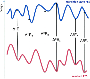 Two-dimensional representation of the potential energy surfaces (PESs) for a reactant and transition state for an enzyme catalysed reaction. Potential energy barriers (Δ‡E) calculated using adiabatic mapping are subject to variation, depending on the choice of starting structure when using different structures from MD simulations. This is due to the existence of many conformations for the reactant and the transition state. To obtain accurate barriers, it is often necessary to either average over many calculated barriers or to use a dynamical sampling method, such as umbrella sampling.