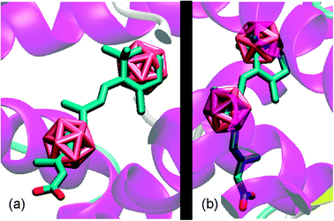 Dicarba Closo Dodecarborane Containing Half Sandwich Complexes Of Ruthenium Osmium Rhodium And Iridium Biological Relevance And Synthetic Strateg Chemical Society Reviews Rsc Publishing Doi 10 1039 C2csa