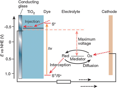 Tautomeric Equilibria in Relation to Pi-Electron