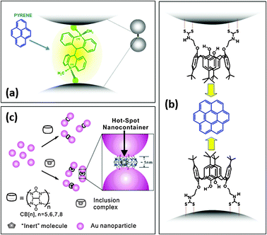Molecularly-mediated assemblies of plasmonic nanoparticles for 