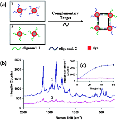 Molecularly-mediated assemblies of plasmonic nanoparticles for