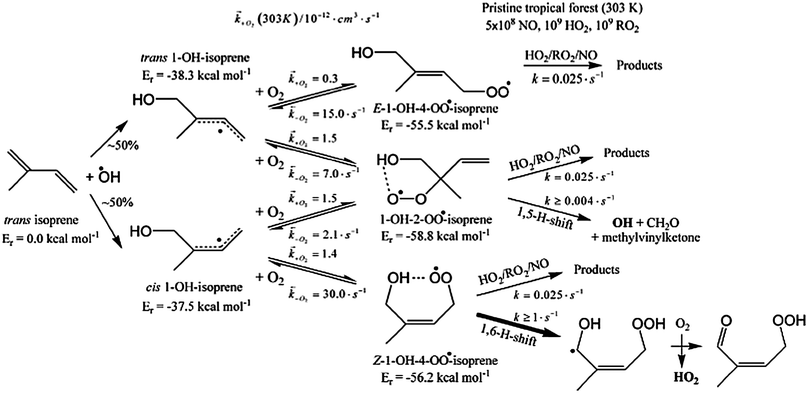 Outline of the initial steps in the Leuven Isoprene Mechanism, also known as the Peeters' mechanism, with their predicted rates, following 1-OH addition to isoprene. (Reproduced from ref. 219, Copyright (2009), with permission from the PCCP Owner Societies.)