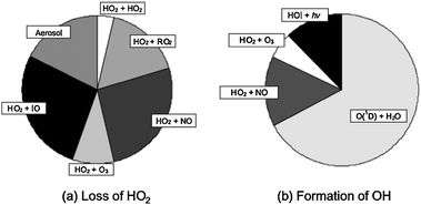 Processes contributing to (a) removal of HO2 and (b) production of OH during the NAMBLEX campaign in Mace Head, showing the impact of iodine species. (Reproduced from ref. 3, Copyright (2005) American Geophysical Union. Reproduced by permission of American Geophysical Union. Further reproduction or electronic distribution is not permitted.)