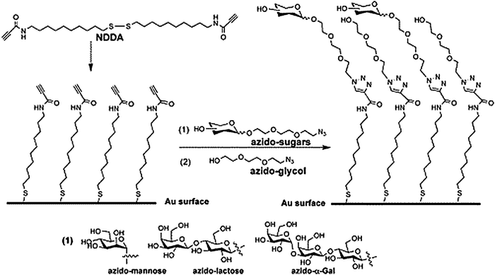 TEN Kawasaki 240 BLACK CONTRAST CUT LAUNCH WHEEL PACKAGE FOR 06-11