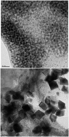 
            TEM images of solutions generated from solution of Pd(OAc)2 in arylboronic acid, THF–H2O (top, scale bar = 10 nm) and arylboronic acid, toluene (bottom, scale bar = 20 nm).
