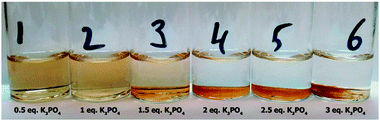 Solutions containing Pd(OAc)2 (0.5 mM) with varying amounts of K3PO4 in THF–H2O (1 : 1).