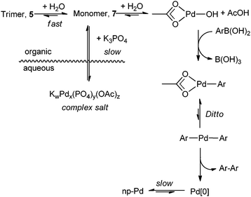 Summary of interactions of Pd(OAc)2 with H2O, K3PO4 and arylboronic acid.