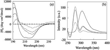 (a) Circular dichroism spectra of free subtilisin and subtilisin immobilized on various MPS-2 materials. For comparison, the corrected spectrum of free subtilisin in aqueous buffer is also shown (solid line). (b) Fluorescence emission curve for the Trp residue of free and immobilized subtilisin. Free subtilisin is denoted by solid line, Et-MPS-2 by dotted line, No-MPS-2 by dash line, and SH-MPS-2 by dot-dashed line.