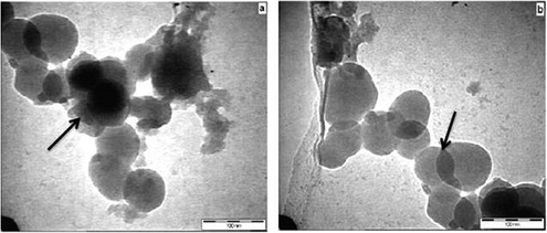 (a–b) Transmission electron micrographs of Ru/Nanoclay-A.